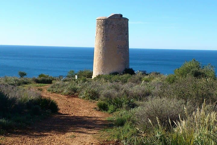 Tropical hike by MALAGA ACTIVA TOURS