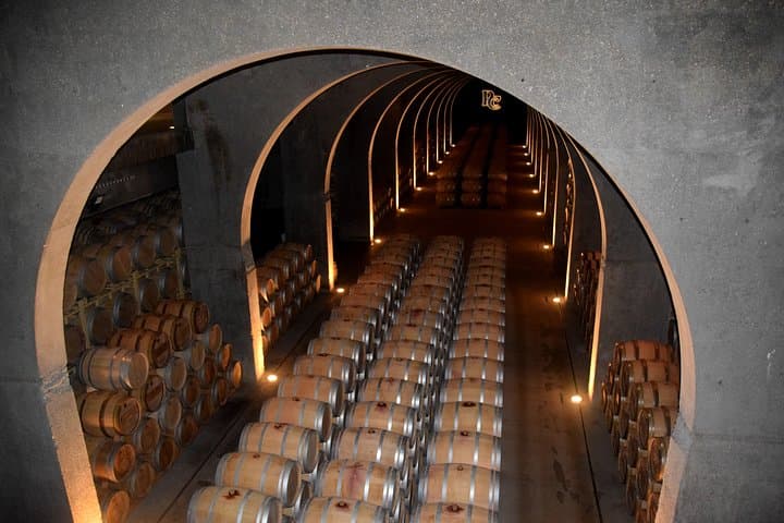 Tour in Ribera del Duero "like a native", with traditional Spanish tapas