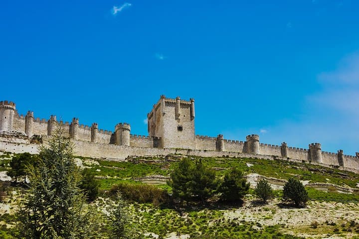 Tour in Ribera del Duero "like a native", with traditional Spanish tapas