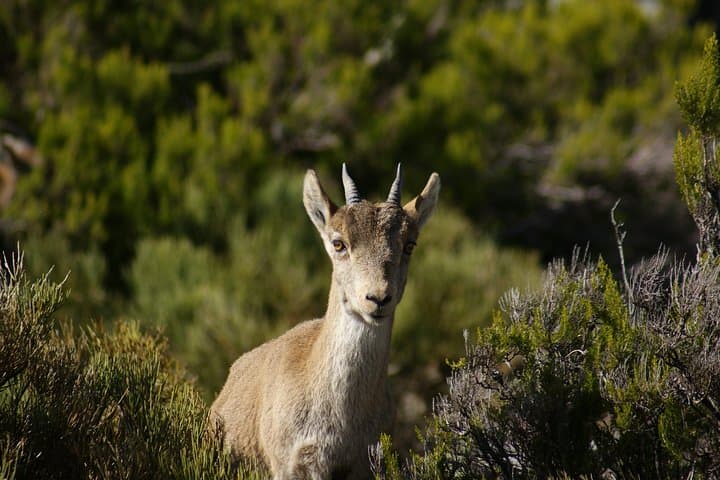 Garganta El Saltillo hike by MALAGA ACTIVA TOURS.