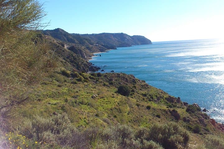 Tropical hike by MALAGA ACTIVA TOURS