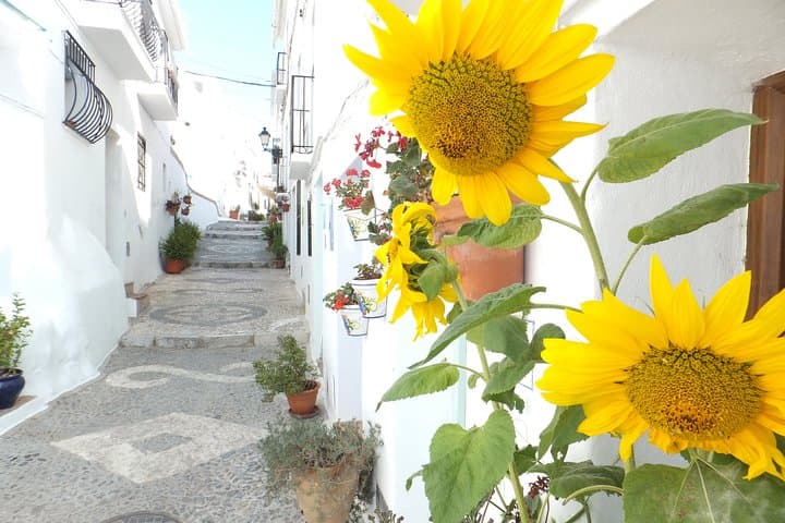 Frigiliana hike by MALAGA ACTIVA TOURS.
