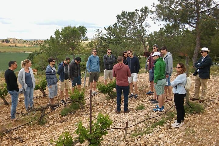 visiting vineyard