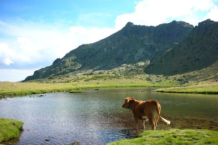 Full-Day Private Guided Tour to Guadarrama National Park