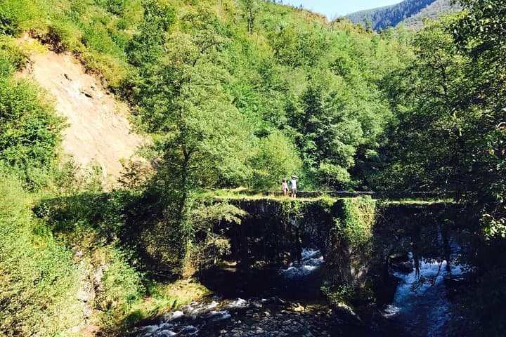 The Train Track Trail Mountain Bike Ride - Private experience