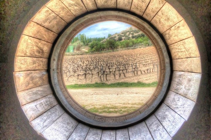Exclusive Tour From Madrid: Ribera del Duero With Lechazo