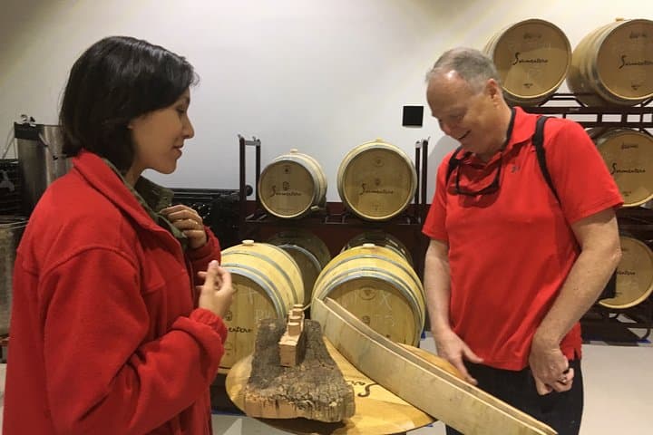 Exclusive Tour From Madrid: Ribera del Duero With Lechazo