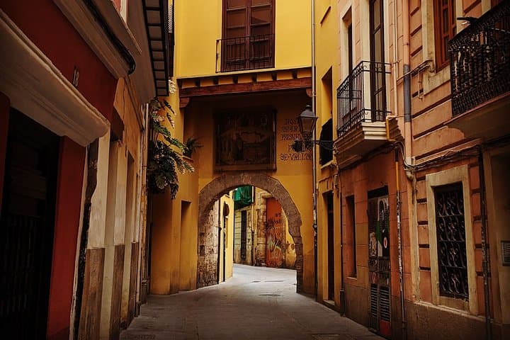 Essential Valencia: Local Culture and Gastronomy