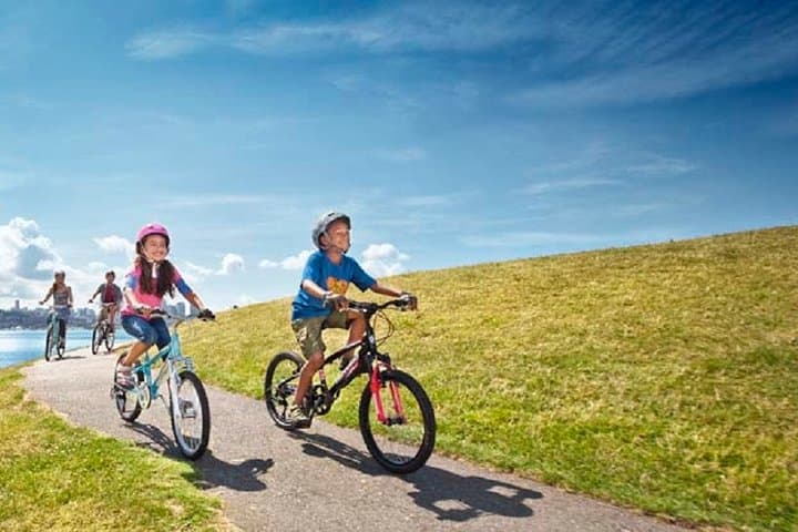 Chid Bike rental