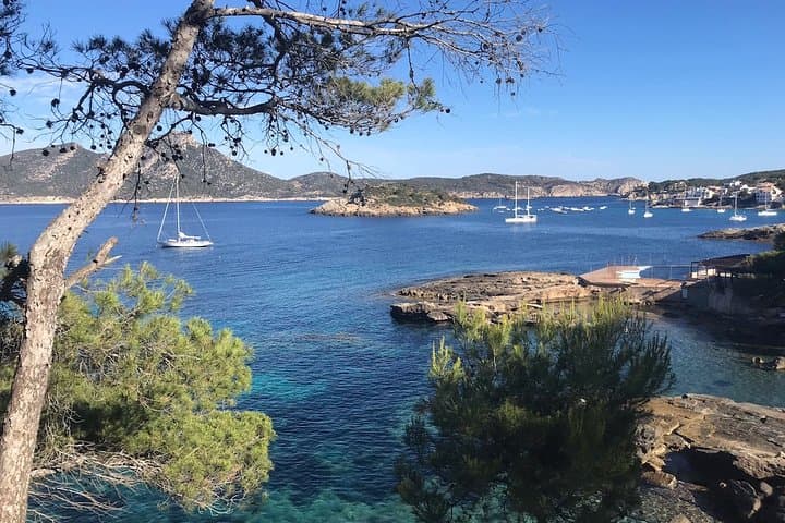Cala Conills
