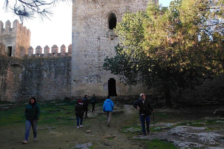 Private Tour Ronda and White Villages from Seville