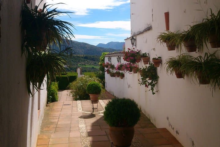 Private Tour Ronda and White Villages from Seville