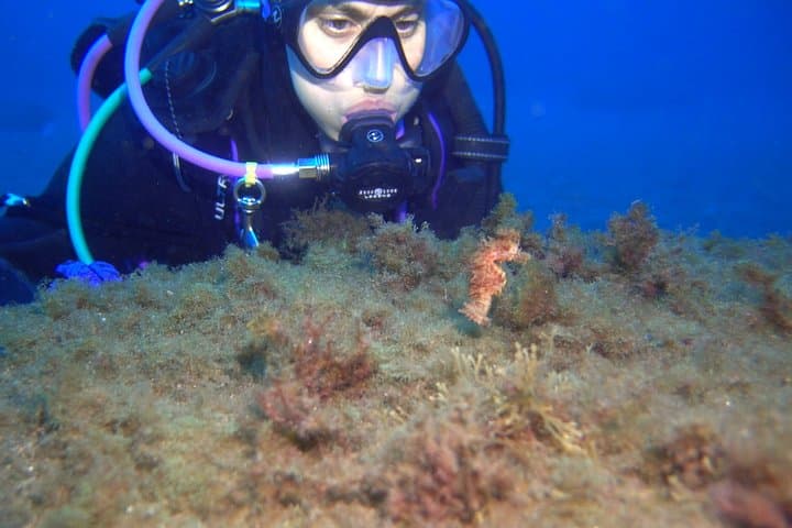PADI Advanced Open Water Diver Course (AOWD) - 2 days