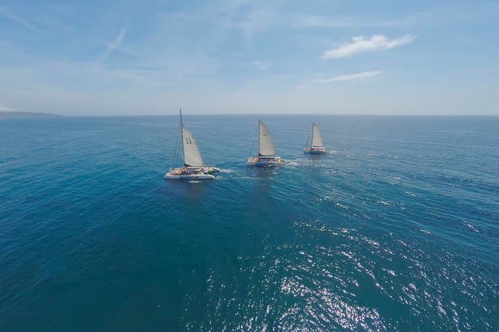 Catamaran's