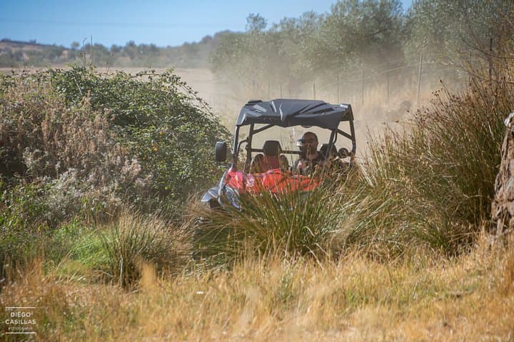 ROUTE IN BUGGY 2,00h