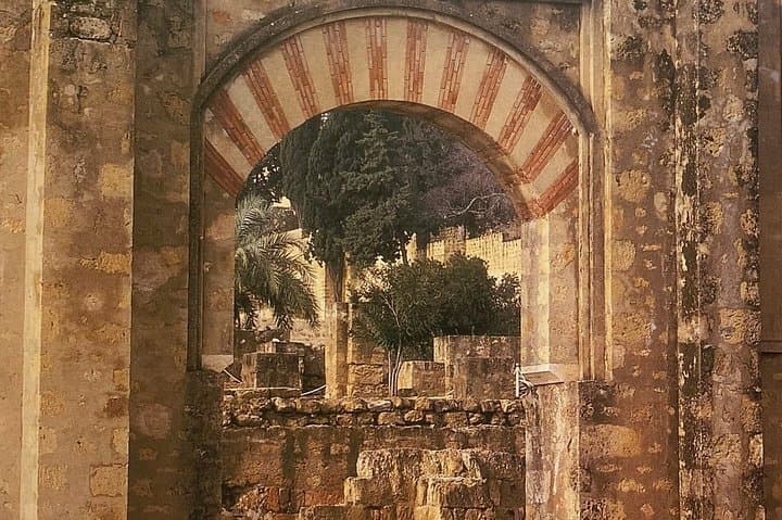 Guided tour of Medina Azahara in private with official guides