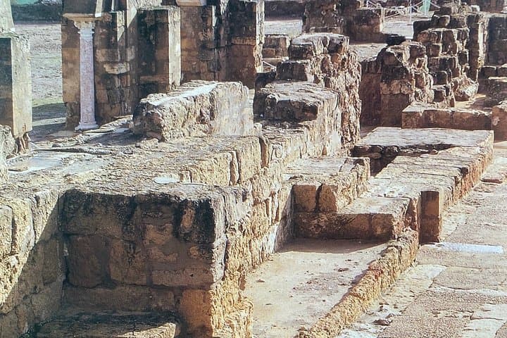 Medina Azahara guided tour with official guide