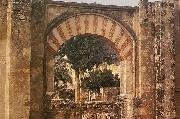 Guided visit to Medina Azahara with official guide