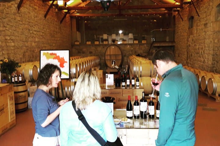 Rioja's Top wines tasting private tour