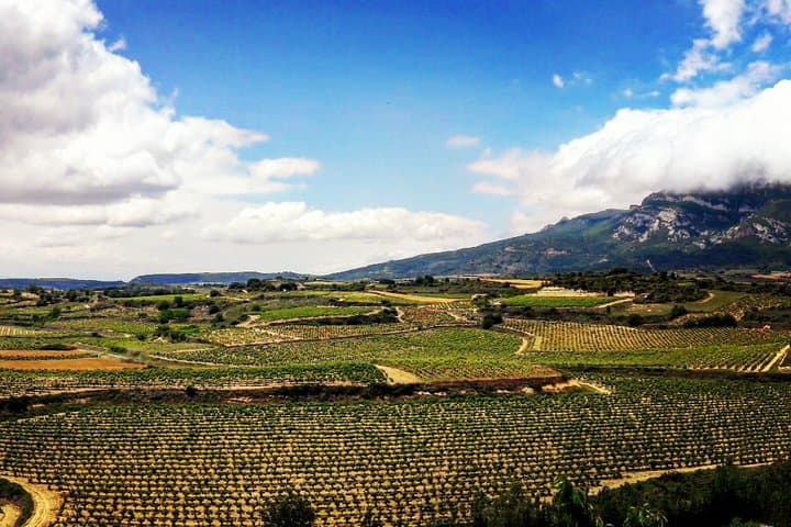 Rioja's Top wines tasting private tour