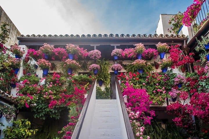 Cordoba's Authentic Patios: 2-Hour Tour with Tickets