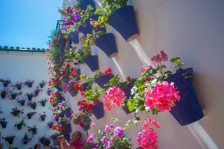 Cordoba's Authentic Patios: 2-Hour Tour with Tickets