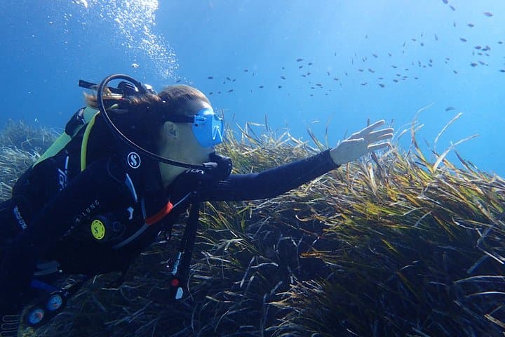 Skualo Discover Scuba Diving 4