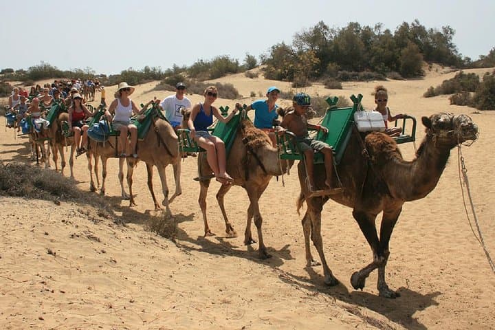 Camel Safari Maspalomas