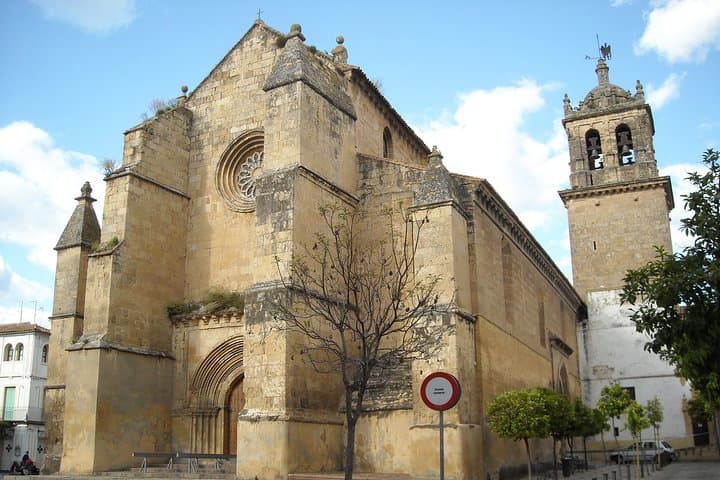Private 10-hour Shore Excursion from Motril Cruise Port to Cordoba
