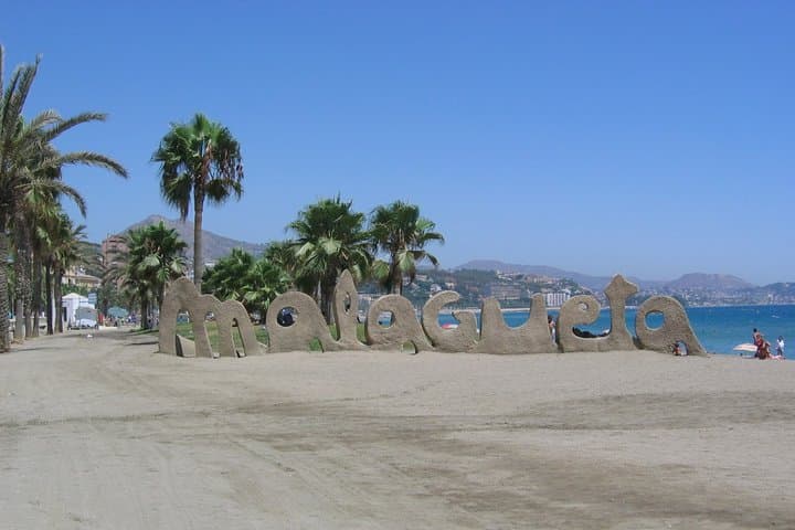 Private 9-hour Shore Excursion from Motril Cruise Port to Malaga