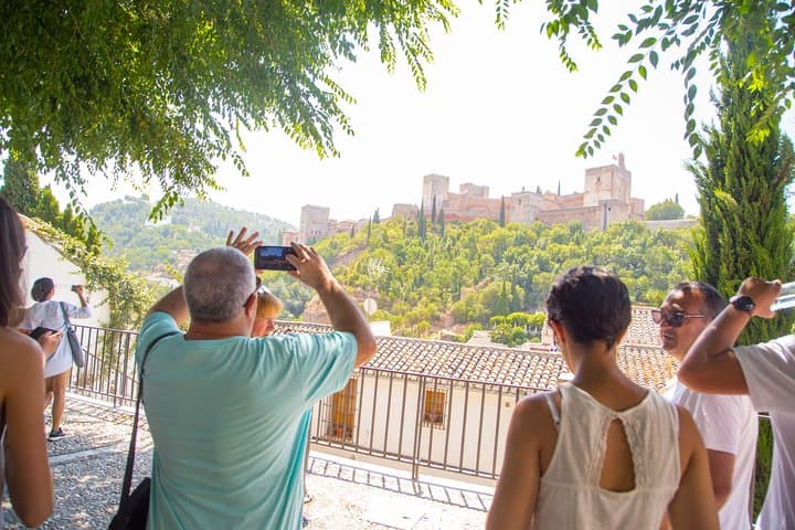 Private Walking Tour in Granada