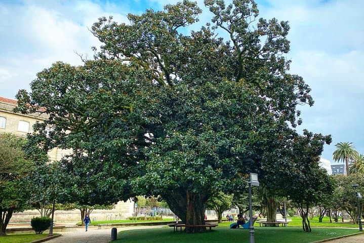 Vicenti Gardens