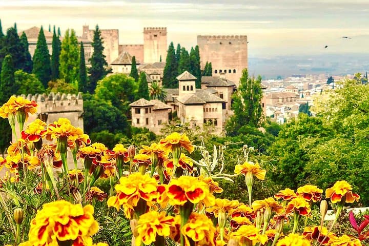 Alhambra Private Tour with Pick Up Service and Tickets