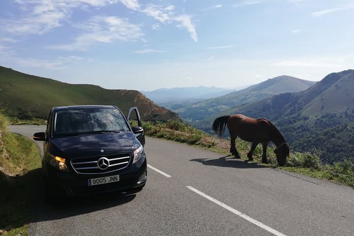 Private French Basque Countryside & Villages from San Sebastian