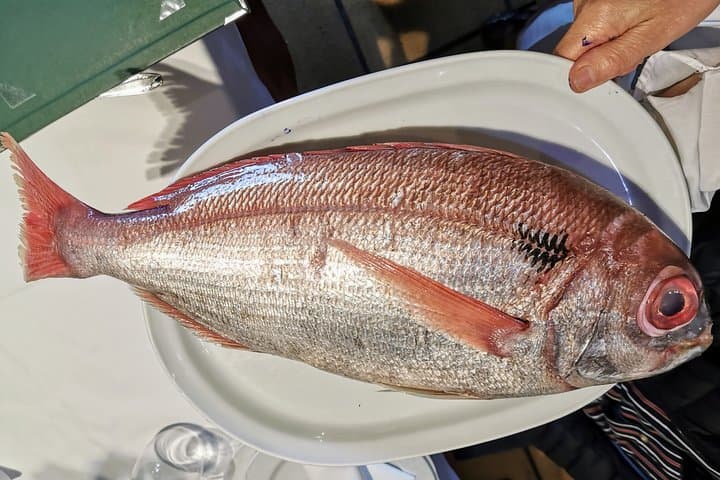 Private Cliffs, Grilled Fish & Txakoli Wine Experience