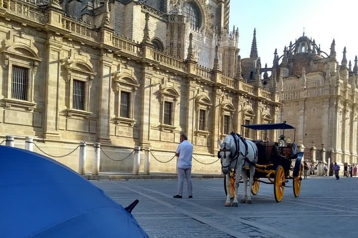 Private Tour to Seville's Cathedral