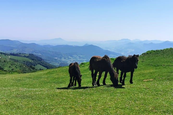 Private Basque Mountains, Coast & Loyola Sanctuary