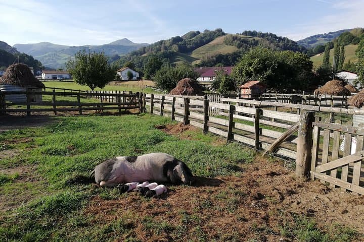 Private French Basque Countryside & Villages from San Sebastian