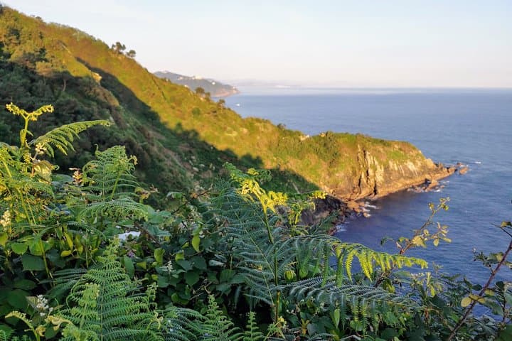 Private Camino de Santiago Coastal Hike from San Sebastian