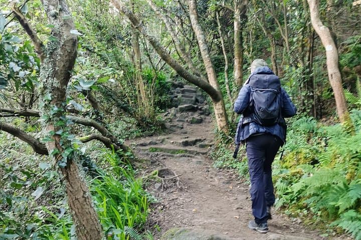 Private Camino de Santiago Coastal Hike from San Sebastian