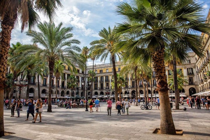 Barcelona Private Tour: Discover Highlights and Hidden Gems