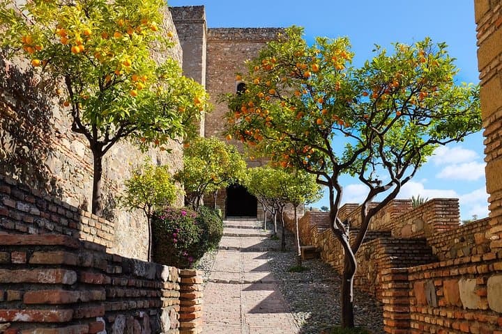 Private 4-hour walking tour of Malaga with official tour guide