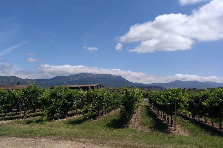 Rioja Uncorked: Private Wine Experience from San Sebastián