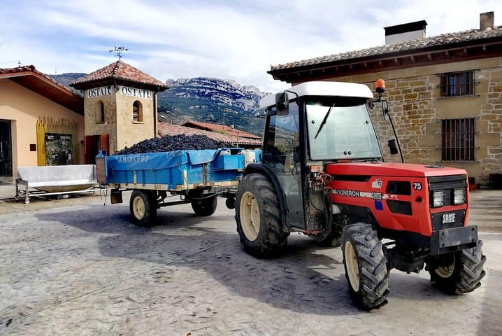 Rioja Uncorked: Private Wine Experience from San Sebastián