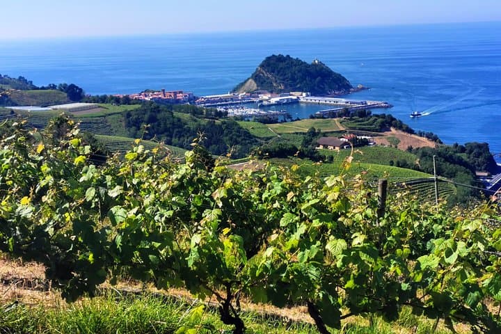 Private Txakoli Vineyards Hike: Zumaia & Getaria with Lunch