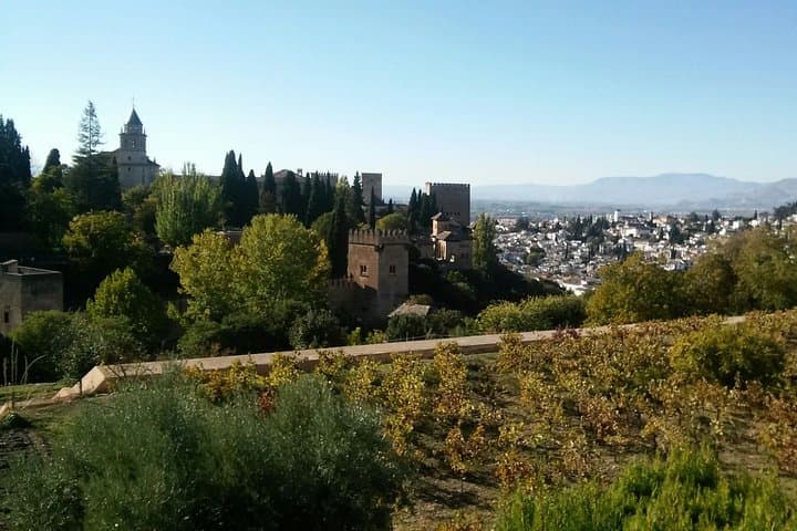 Alhambra and Granada City Center sightseeing tour!