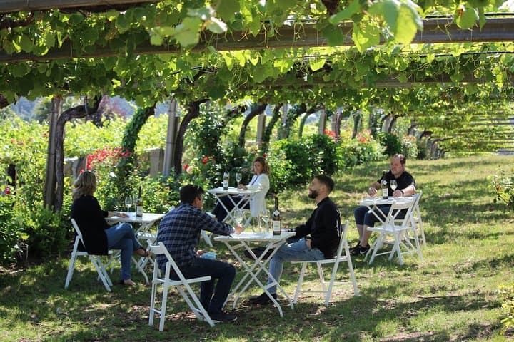 Guided tour of Bodegas Granbazán