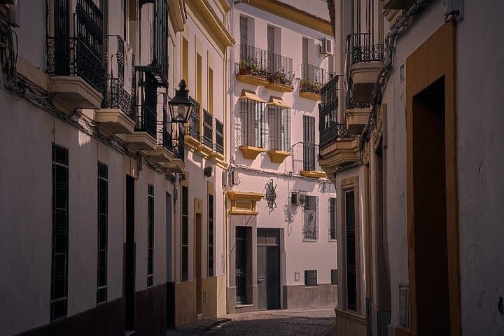 Private night route through Triana