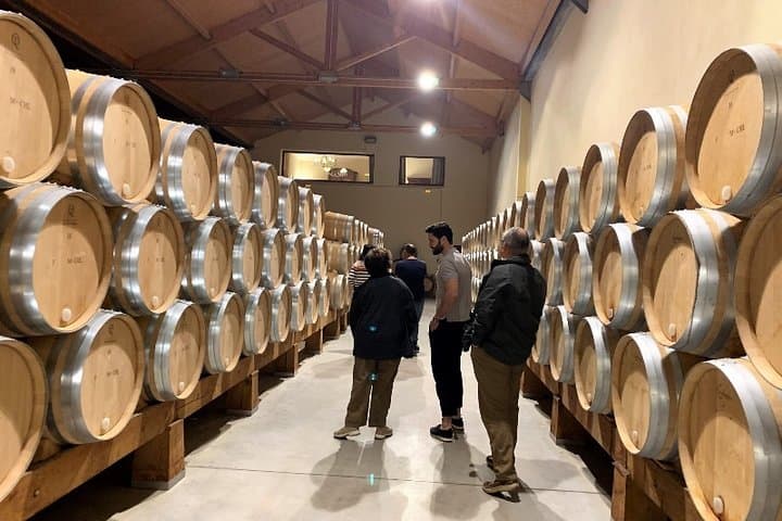 Ribera del Duero Small Group Tour: Tapas & Wine Tasting