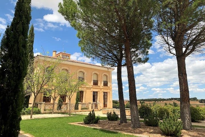 Ribera del Duero Small Group Tour: Tapas & Wine Tasting
